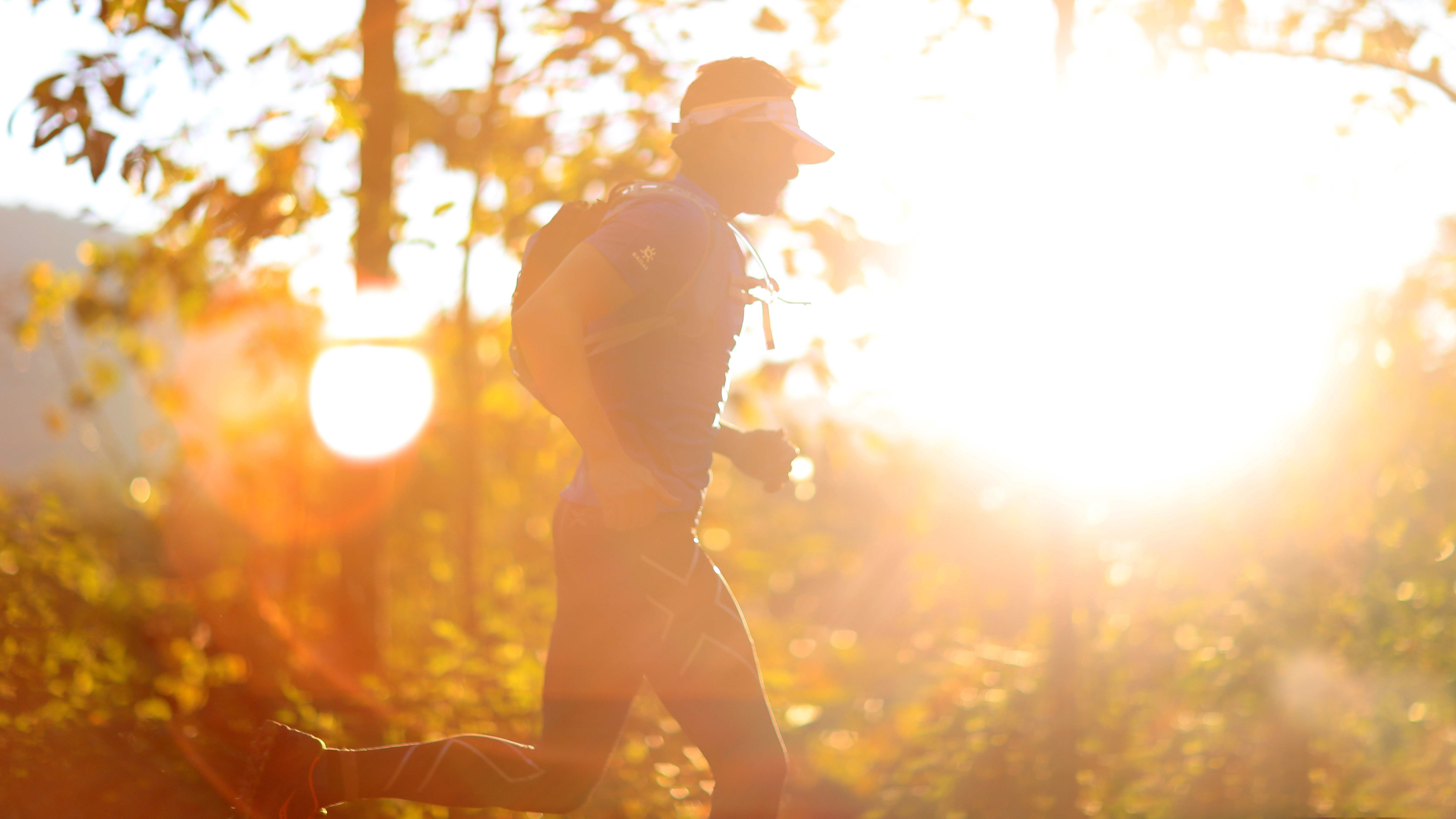 289b2d3b-a8dc-4106-b001-a7409fdb3ffa