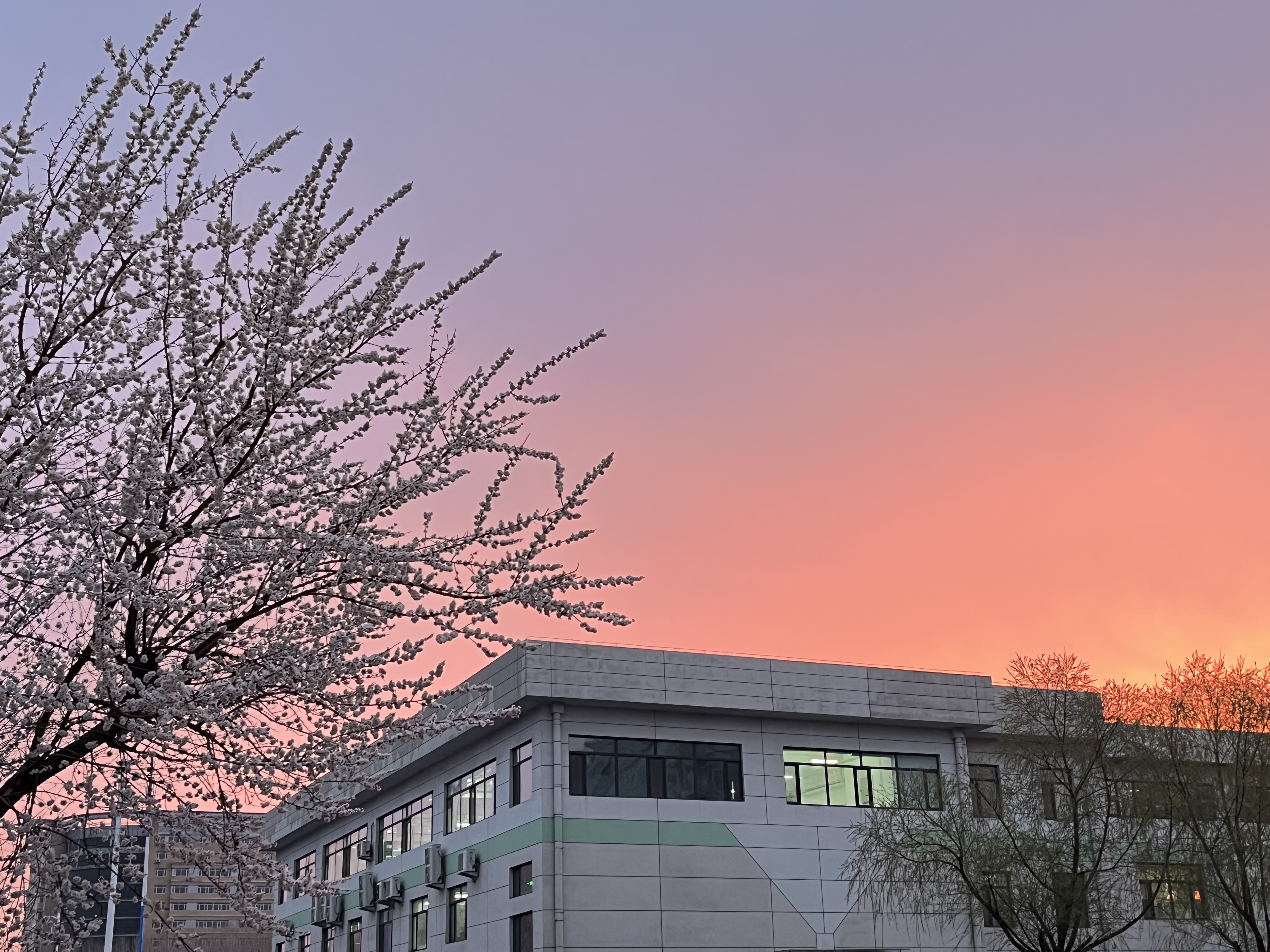 4a1949dd-44af-4376-92e2-03418ca50131