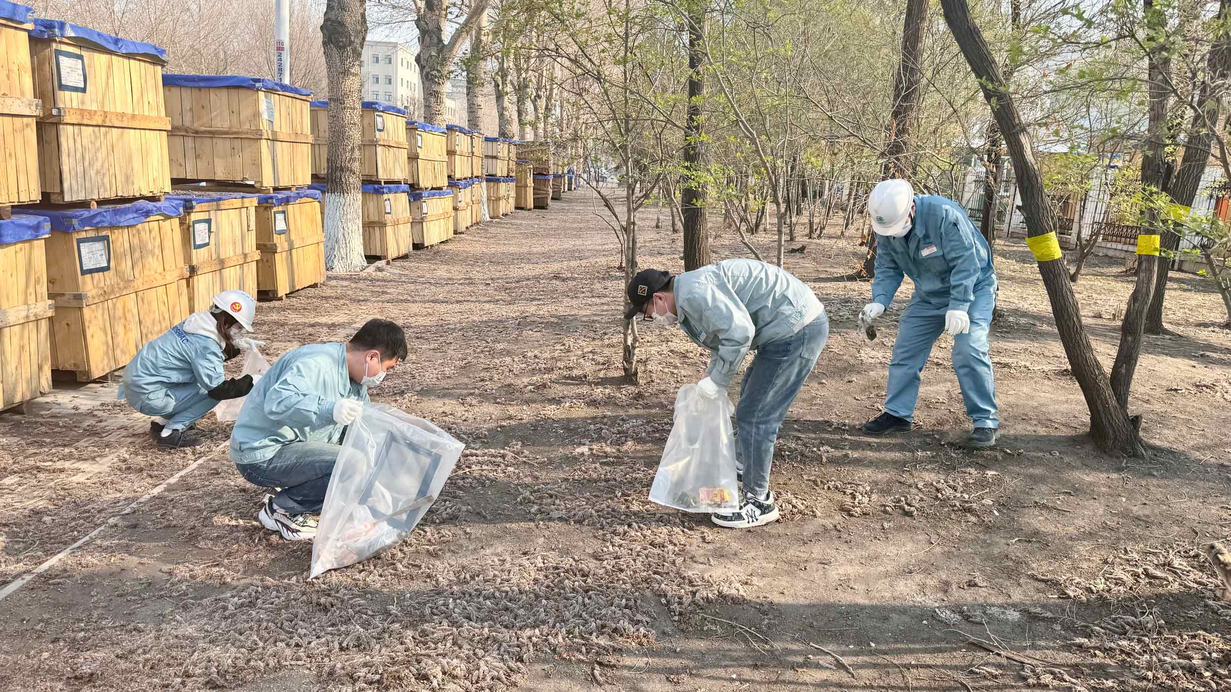 b445acac-dc01-4c90-b19b-f9d284538f3d